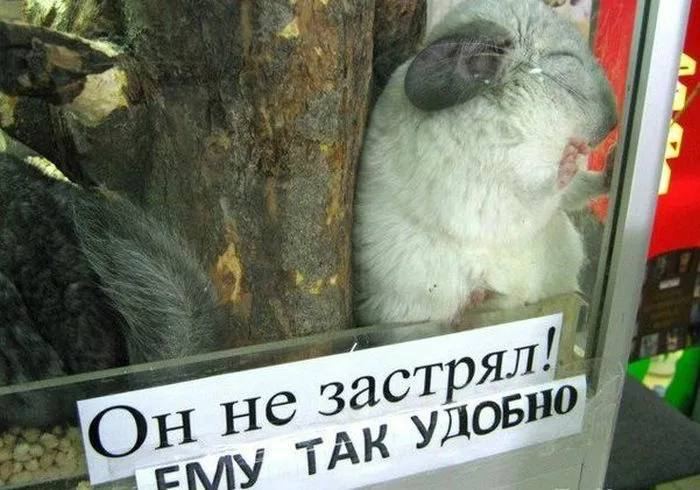 Изображение к публикации: Публикация 179