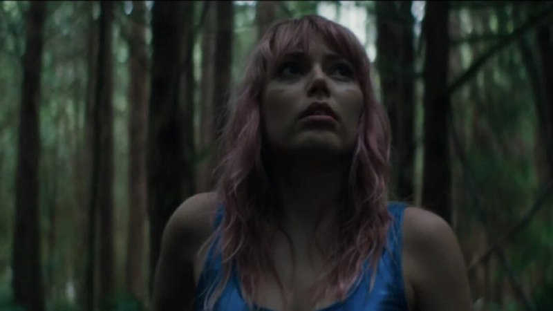 Изображение к публикации: Dread Central раскритиковал фестивальный хоррор «The Swallow»: компания подростков отправляется к водопаду и встречает в…